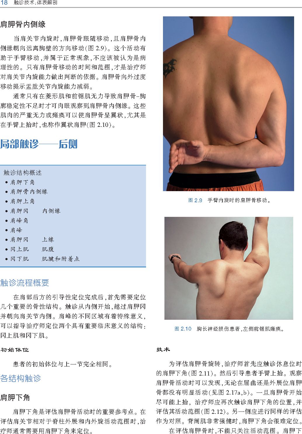 好书推荐｜《触诊技术》——李哲人体科学团队——开年首发