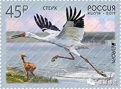 外邮速报邮票陪你过暑假,法国猪年邮票延续中国风