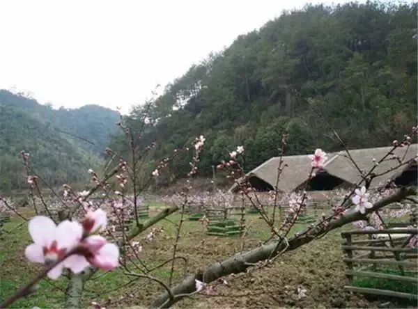 乡村改造方法盘点,全国美丽乡村改造案例