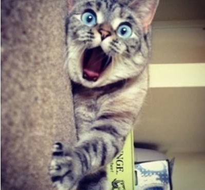 坑娃！武汉爸爸喂1岁女儿吃下蟑螂药，网友：这样粗心的爸爸我家也有