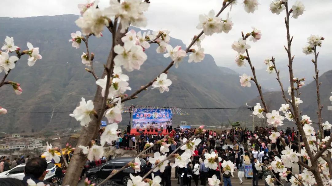 发耳镇樱桃花航拍视频出炉！敢不敢来行一场飞花令？开始！
