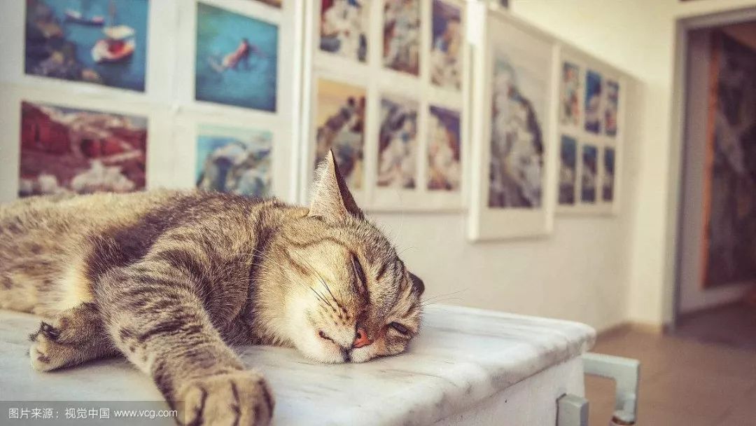 精力旺盛但是身体虚是什么情况,健康养生经常犯困没精神怎么解决