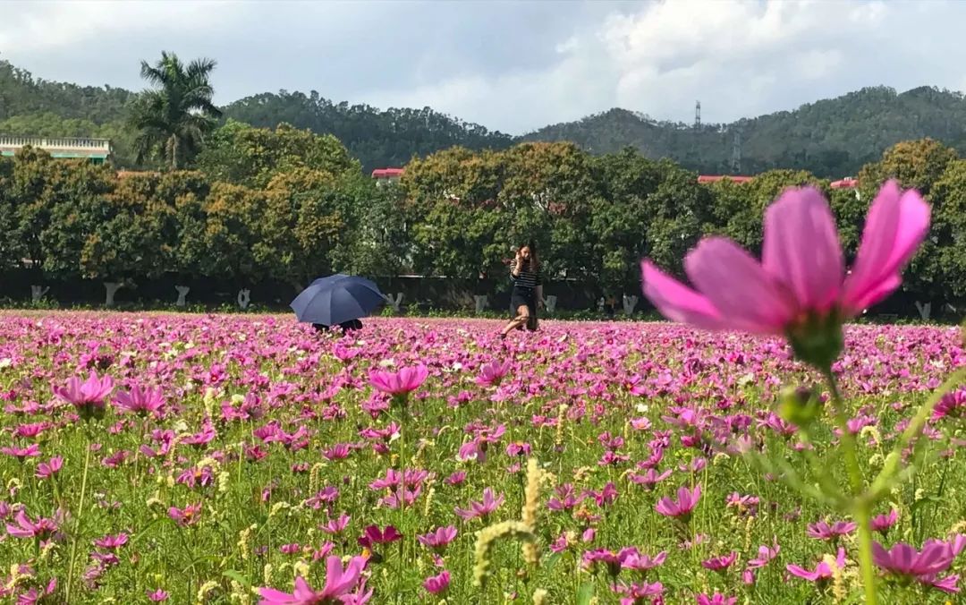 去日本从哪里出发最便宜,去日本从哪出发最便宜