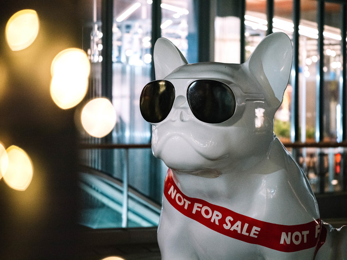 中画幅相机哈苏评测,哈苏中画幅微单镜头推荐