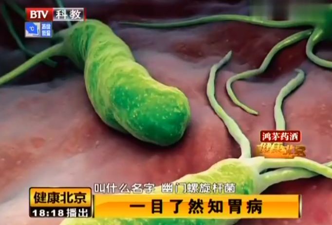 蒲公英泡水喝可以治幽门螺杆菌吗,蒲公英泡水喝能治愈幽门螺杆菌吗