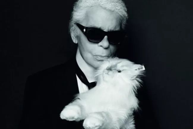 老佛爷的所有家产最后留给了猫 (老佛爷的猫死后谁来继承他的遗产)