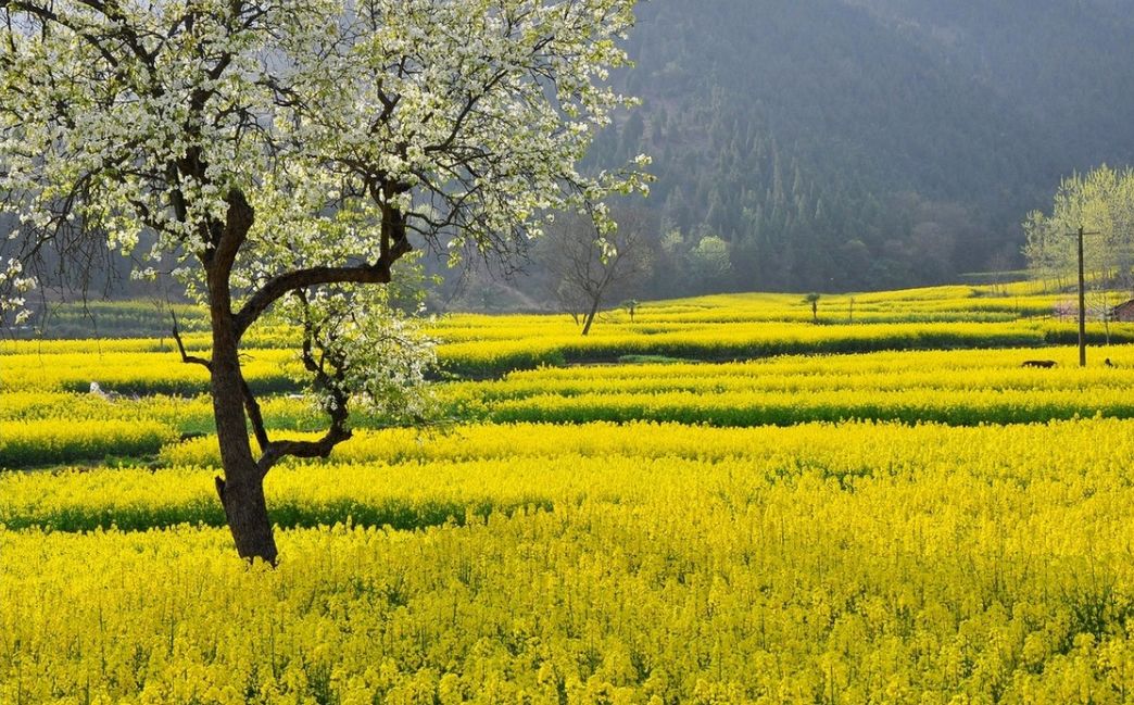 汉中5月玩的地方推荐,汉中四月好玩的地方推荐