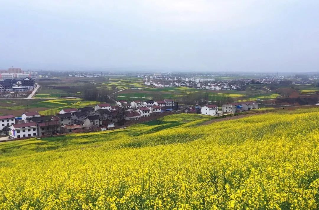 汉中这几天有啥好玩的,5月的汉中有哪些好玩的地方