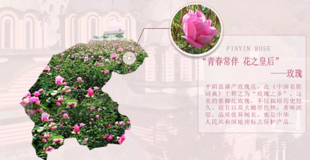 每天一杯白醋3天瘦1斤,连续一周喝蜂蜜加白醋水能瘦几斤