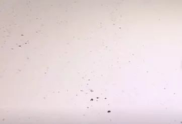 回南天防潮全攻略,回南天必备的防潮物品