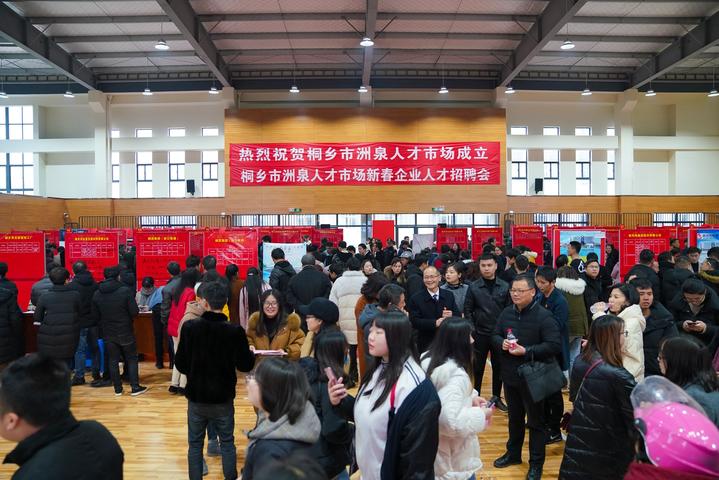 嘉兴桐乡人才市场最新信息,桐乡人才市场在哪里