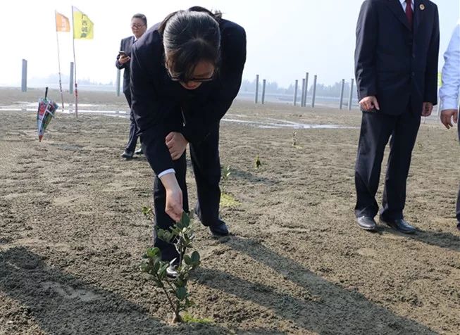 防城港山心沙岛和山新沙滩,广西防城港山心沙