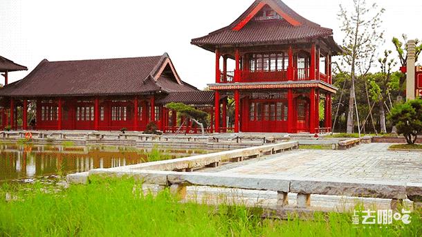 吵翻了！魔都16区终于正面PK！哪个是你心中的C位担当？