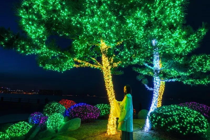 诗意宫灯,诗意元宵