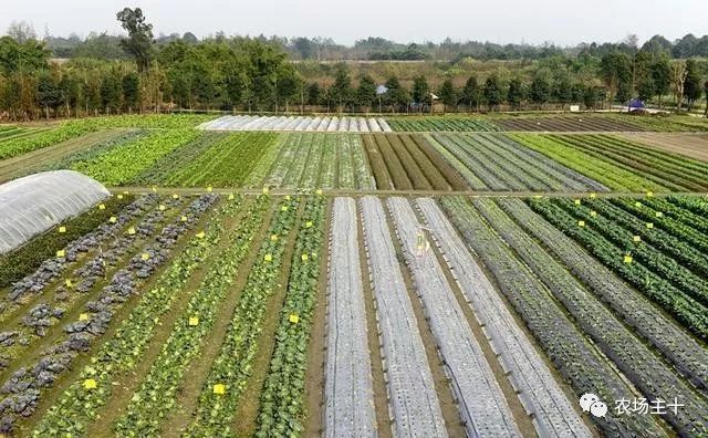 在狂投2.2亿之后,他终于想明白一件事……