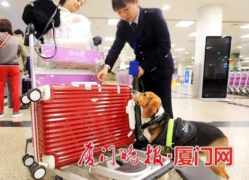 境外购物额度受限怎么办,境外旅游购物回国怎么申报