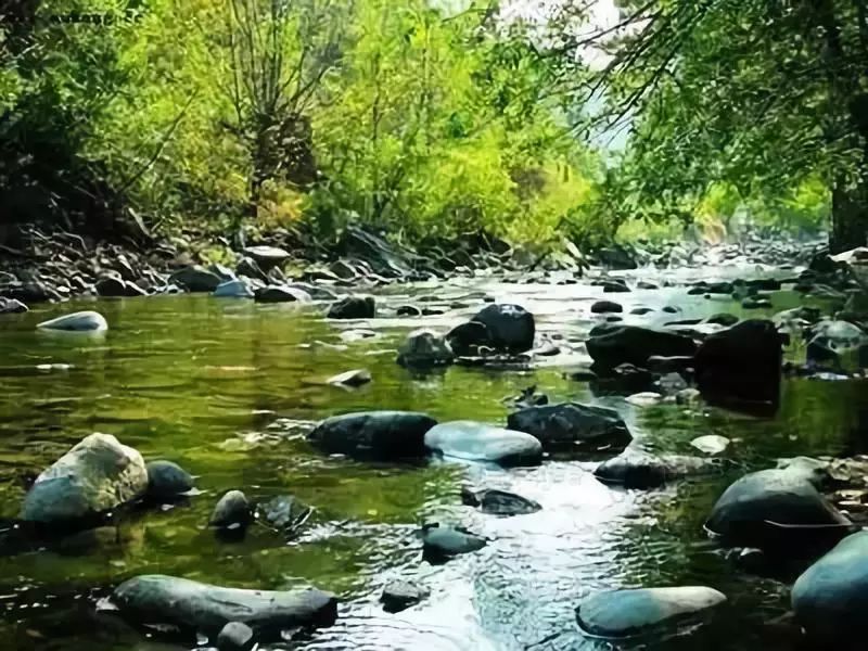 黑河攻略,黑河出境自由行攻略