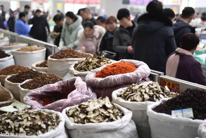 何首乌对肝脏损害可以恢复吗,何首乌减肥茶