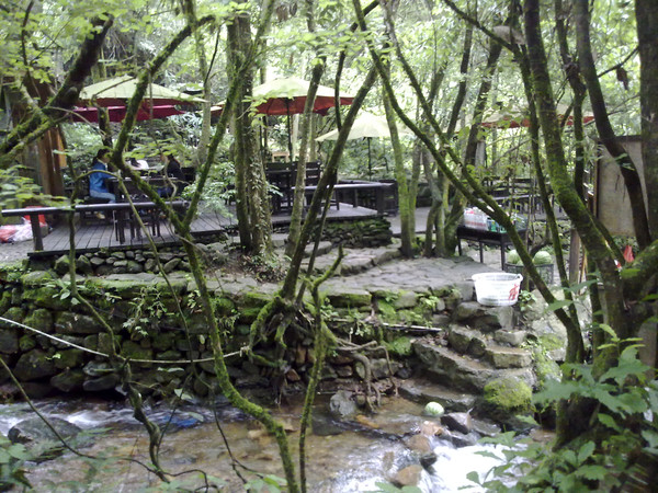 森林氧吧呼吸最新鲜的空气,森林氧吧对身体的好处