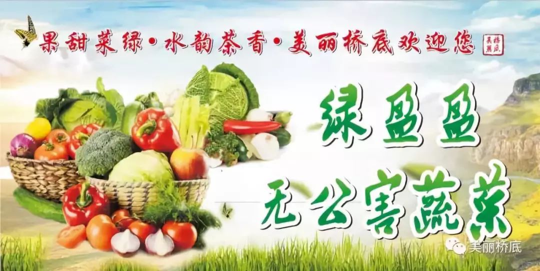 洛南县政府表彰脱贫攻坚先进个人,阳城县脱贫攻坚先进个人名单