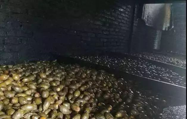 软性毒品卖出千亿帝国,销售有毒有害食品一百万