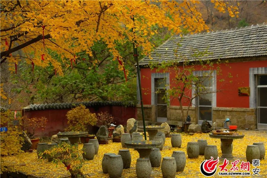 泰山山东景区门票降价,泰山景区门票优惠政策