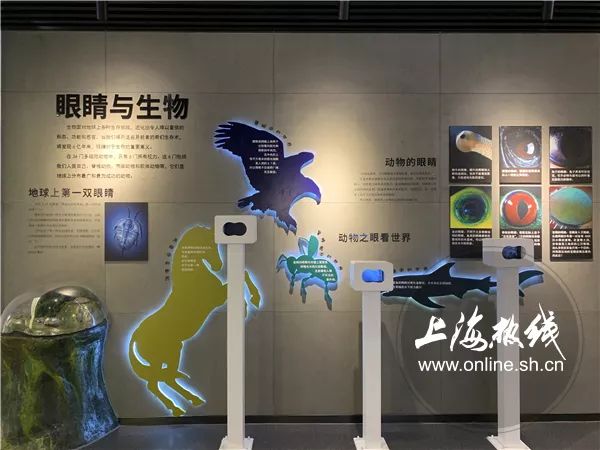 魔都100|你会挑眼镜吗?镜架呢?眼睛的秘密都藏在这里了!