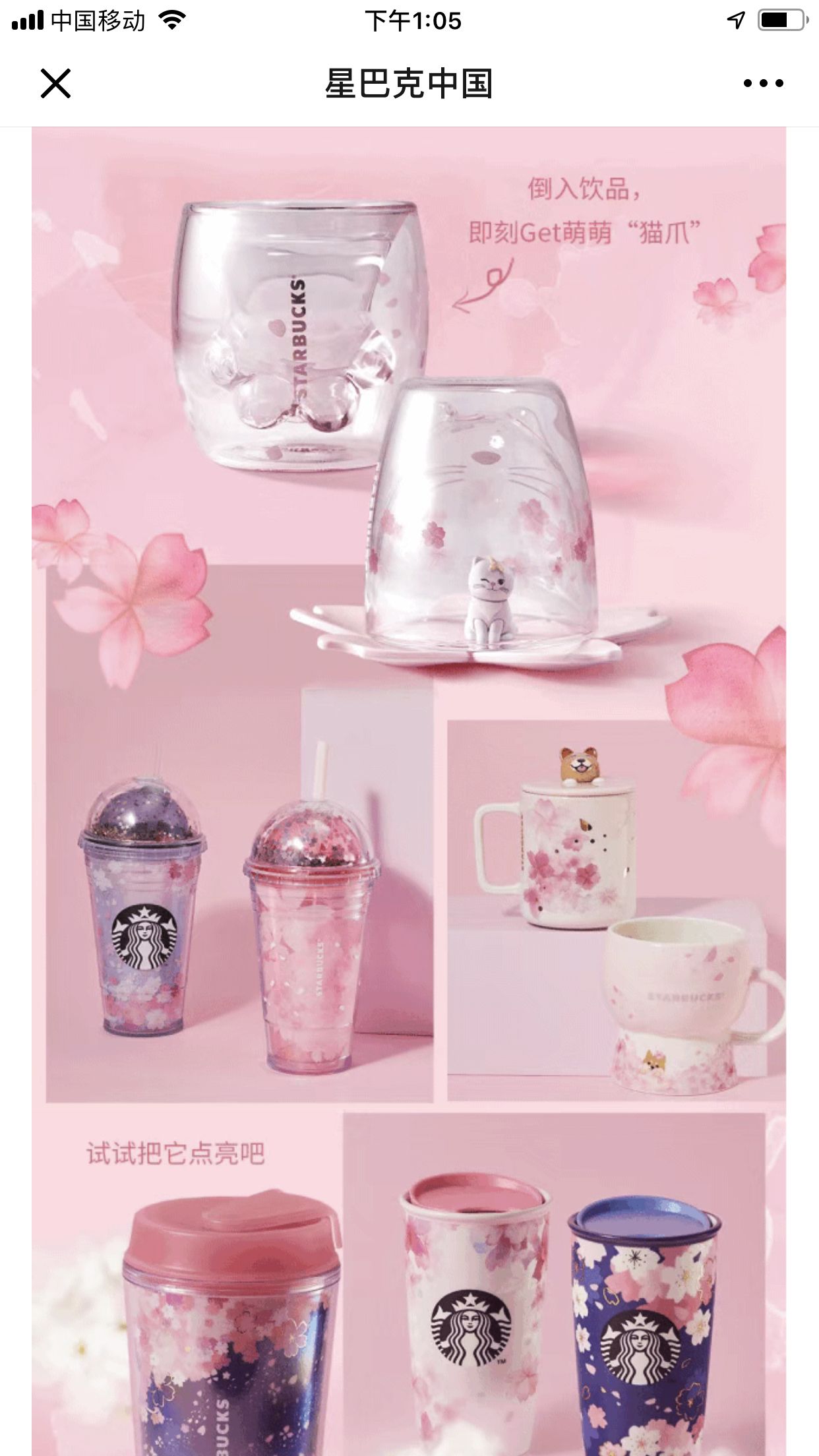 猫爪杯星巴克被炒到多少钱,星巴克猫爪杯799