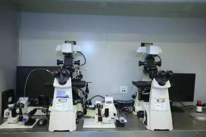 妇幼保健院新余,新余妇幼保健院有几个院区