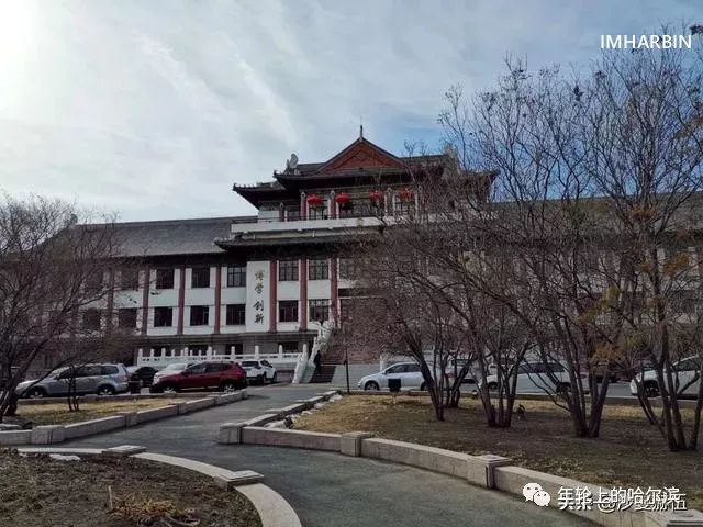 哈尔滨杨马架子前世今生,尘封的往事完整视频