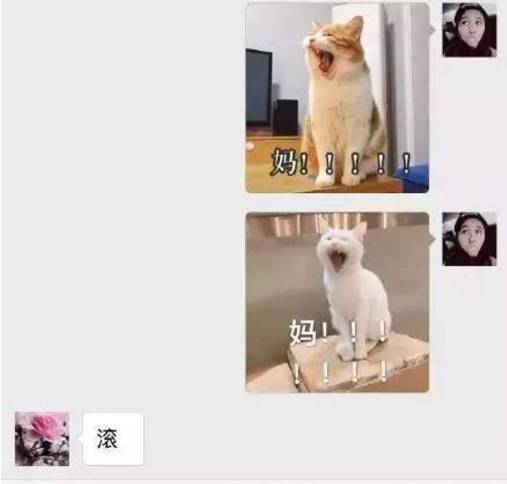 “我想把你变回精子还给你爸”哈哈哈哈哈哈哈哈哈哈哈