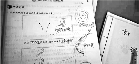老师爱改错别字遭学生怼,科学老师纠正错别字扣了分