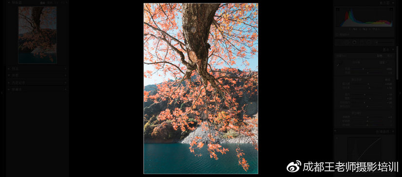 lr新手入门教学推荐,lr怎么做稳定