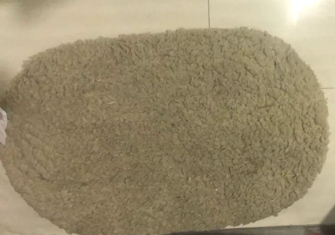 卫生间到底有多脏,卫生间有异味教你一招清理