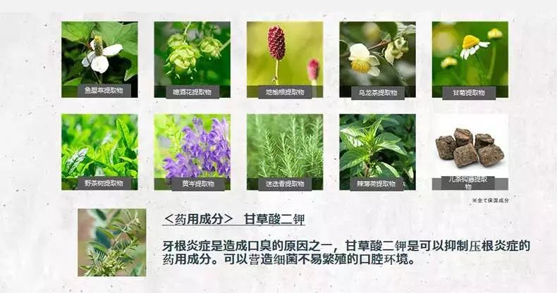 清新口气避免尴尬,拯救口气