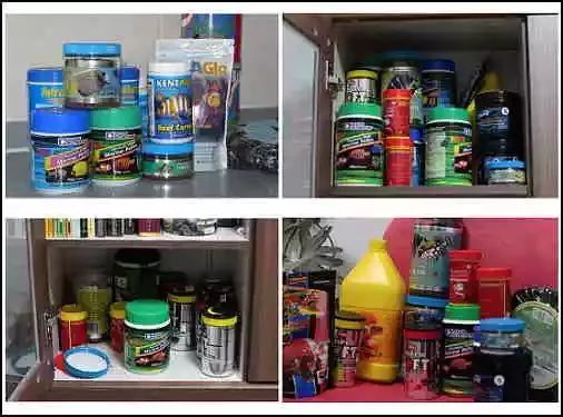 起起伏伏教程,海缸珊瑚的饲养