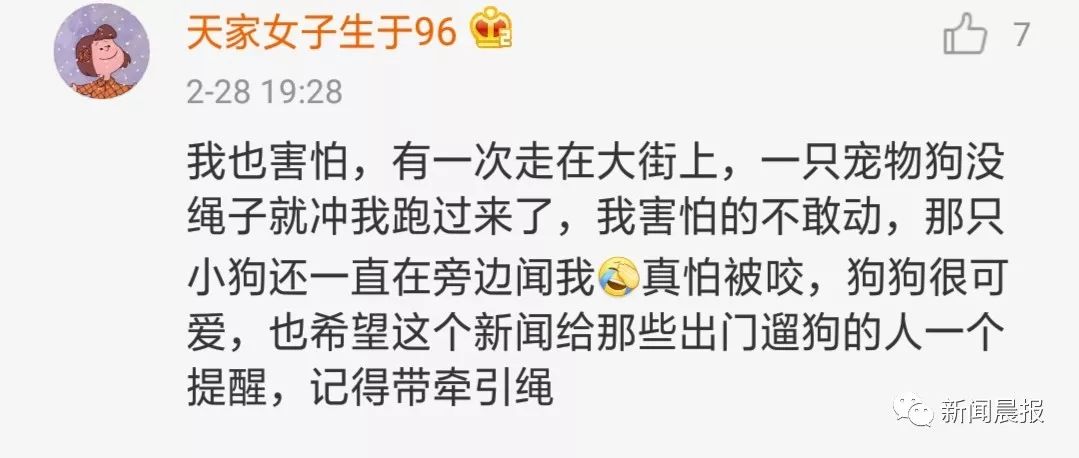 又是遛狗不牵绳！泰迪起身走了两步吓得老人摔成9级伤残，狗主人被判赔20万！