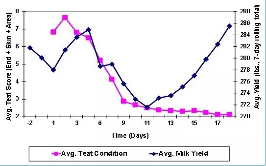 奶牛乳房防冻罩有做的吗,奶牛维护