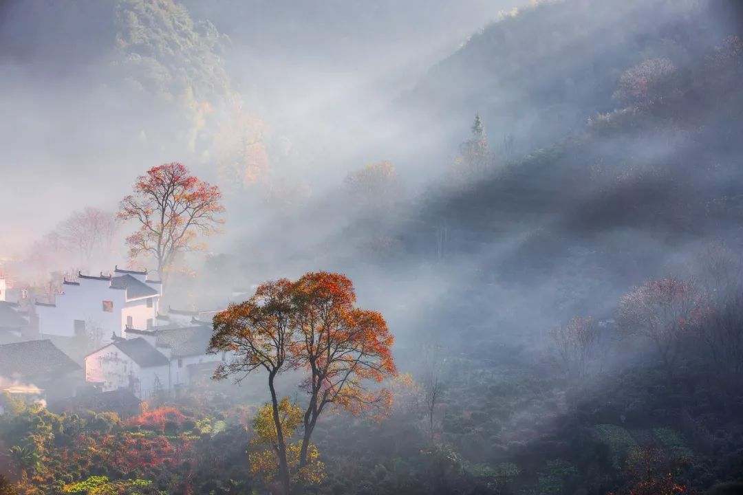 觊觎氤氲,觊觎氤氲圭臬80个生僻词语