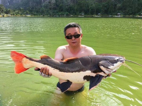 泰国艾克索公园巨物钓场,泰国巨物池钓鱼费用