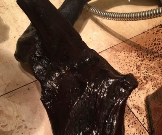 沉木泡了一年了还是掉色,沉木发黑怎么彻底处理