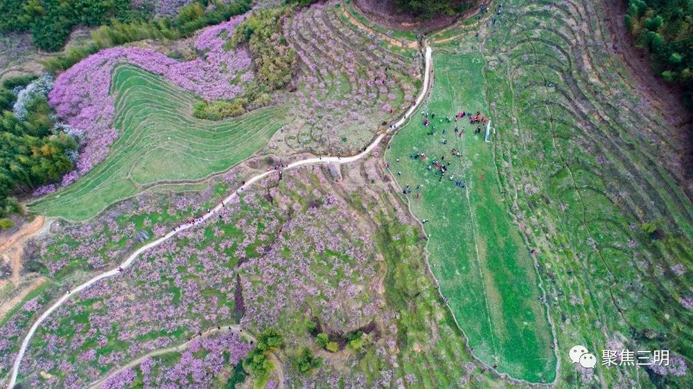 这是一份来自三明的“春天使用说明书”，请仔细阅读！