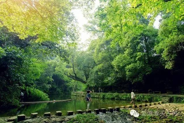 夏天婺源旅游攻略2天1晚,婺源旅游攻略三天两夜自由行
