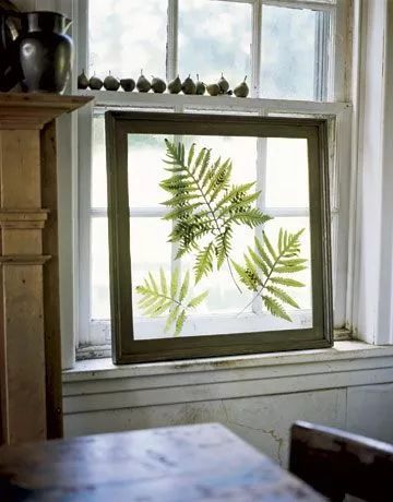 永生花diy手工,1700块的永生花