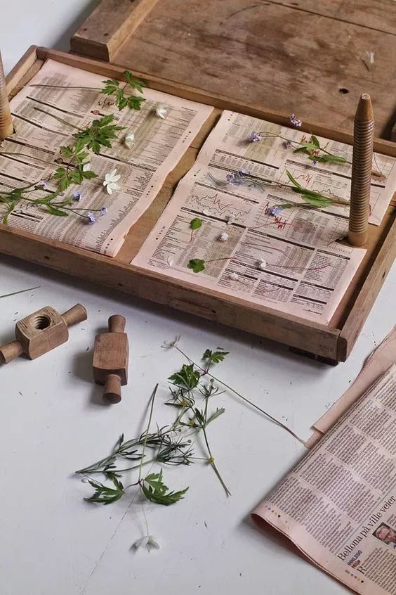 永生花diy手工,1700块的永生花