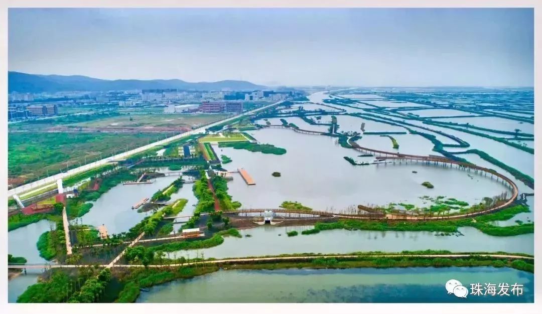 定了！石家庄将首开至珠海、嘉兴方向高铁，一路都是好风景