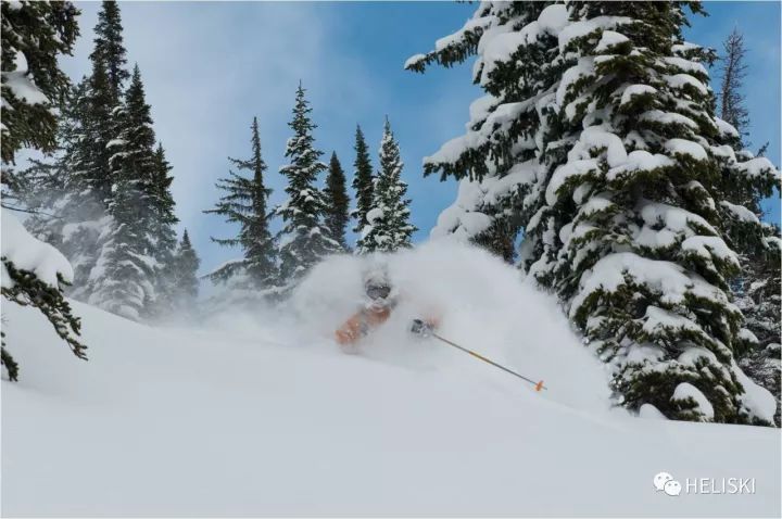 粉雪陡坡滑行技巧,可可托海粉雪滑行技巧