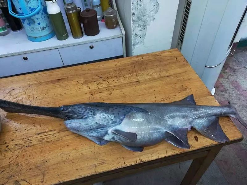 武汉救命医院,武汉116台救命神器