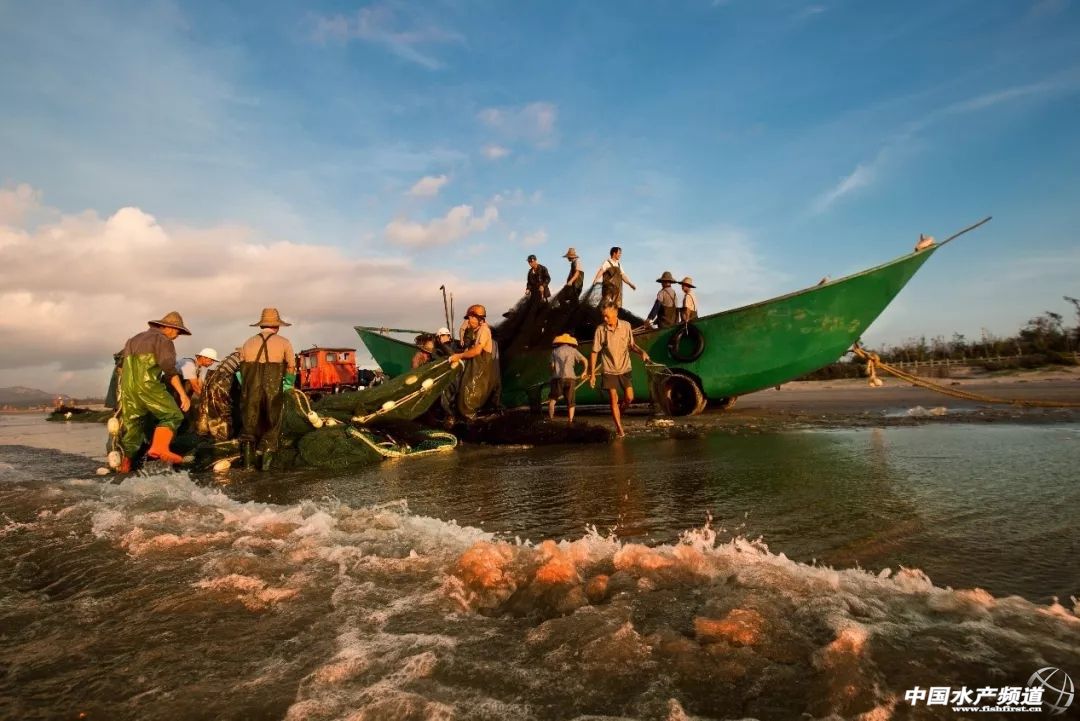 湛江最实惠的海鲜街,湛江草潭镇海鲜攻略