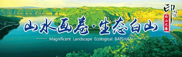 执“绿色”巨笔绘生态画卷——白山市建设中国绿色有机谷·长白山森林食药城素描